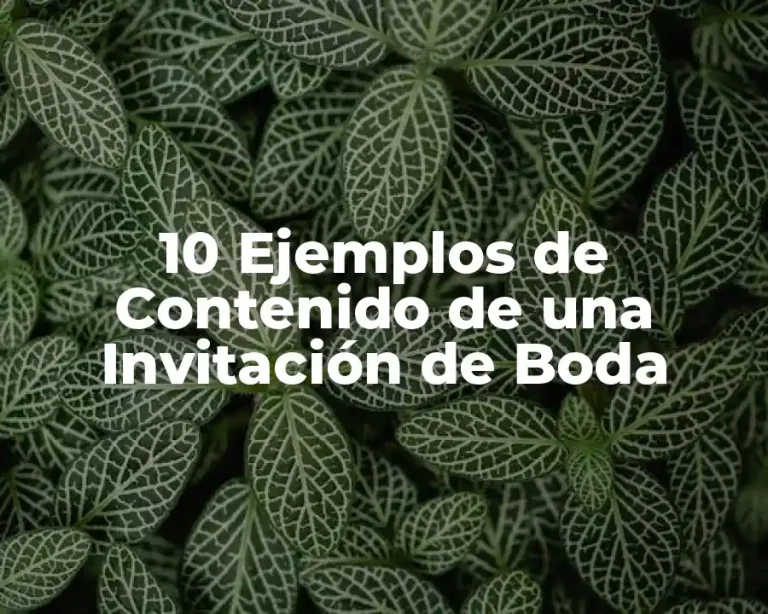 10 Ejemplos de Contenido de una Invitación de Boda