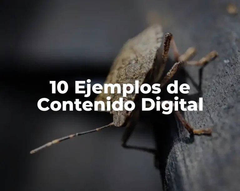 10 Ejemplos de Contenido Digital
