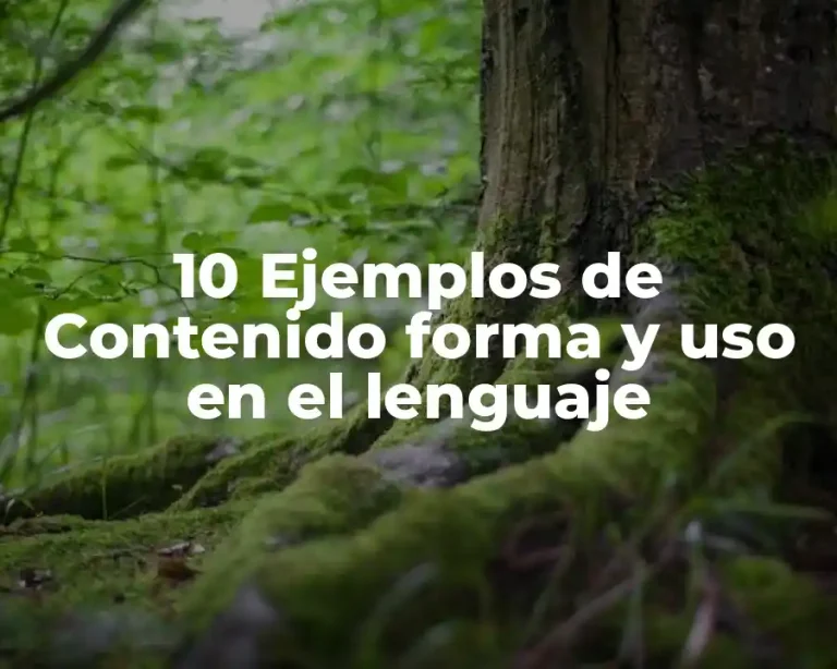 10 Ejemplos de Contenido forma y uso en el lenguaje