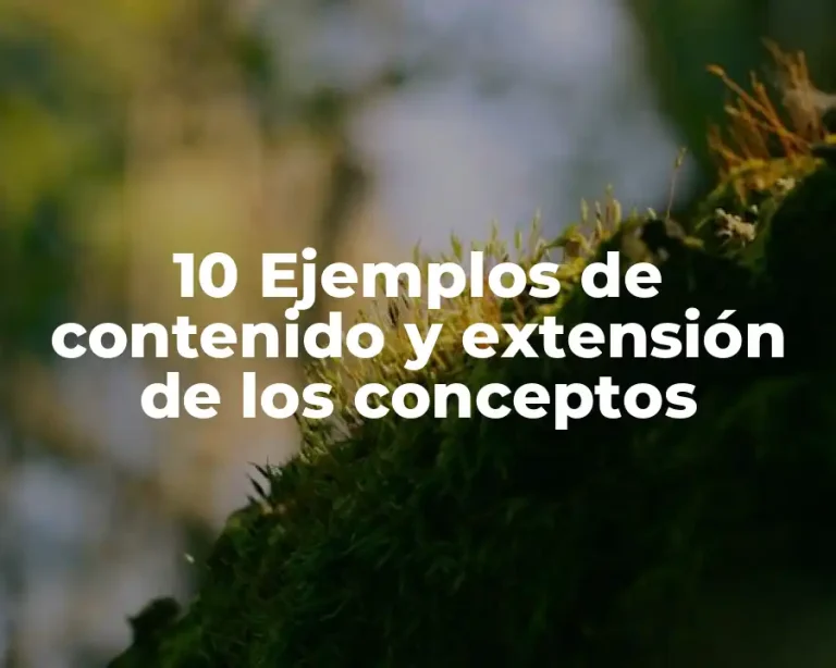 10 Ejemplos de contenido y extensión de los conceptos