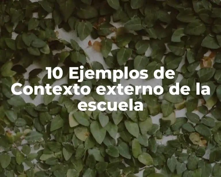 10 Ejemplos de Contexto externo de la escuela