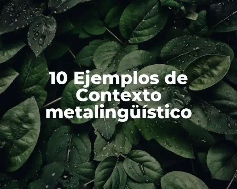 10 Ejemplos de Contexto metalingüístico