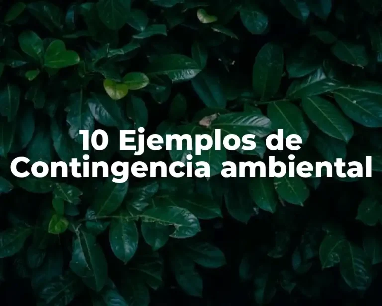 10 Ejemplos de Contingencia ambiental