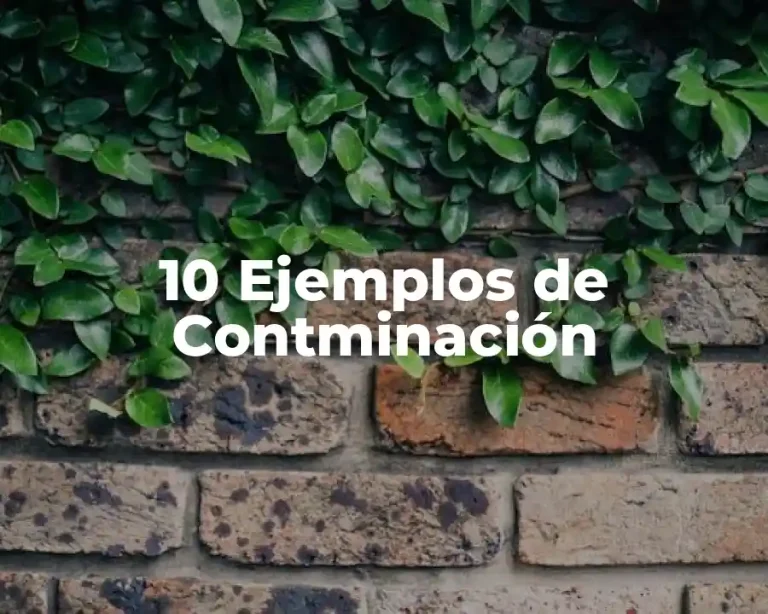 10 Ejemplos de Contminación