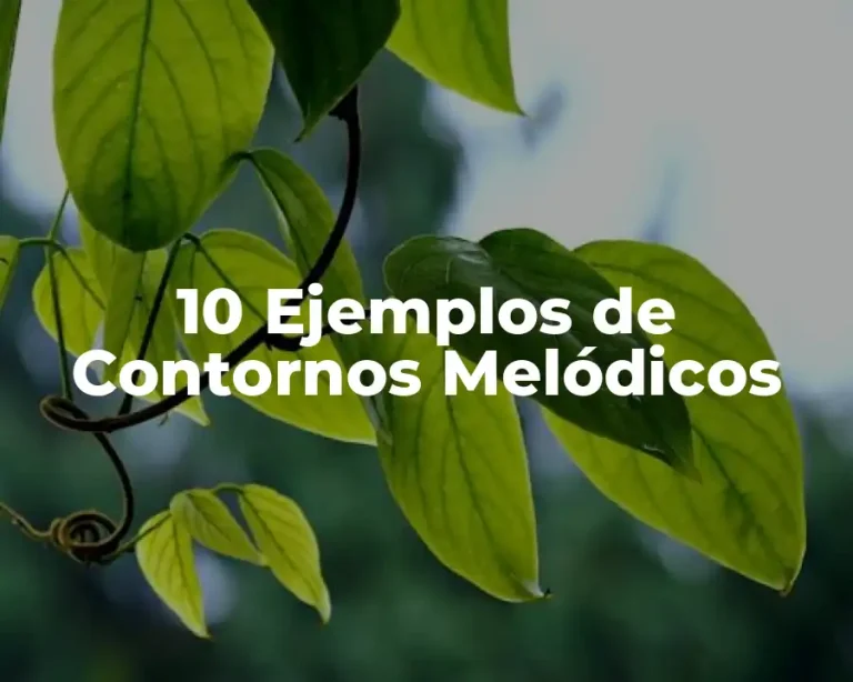 10 Ejemplos de Contornos Melódicos