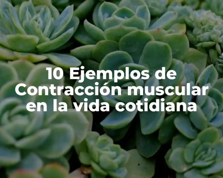 10 Ejemplos de Contracción muscular en la vida cotidiana