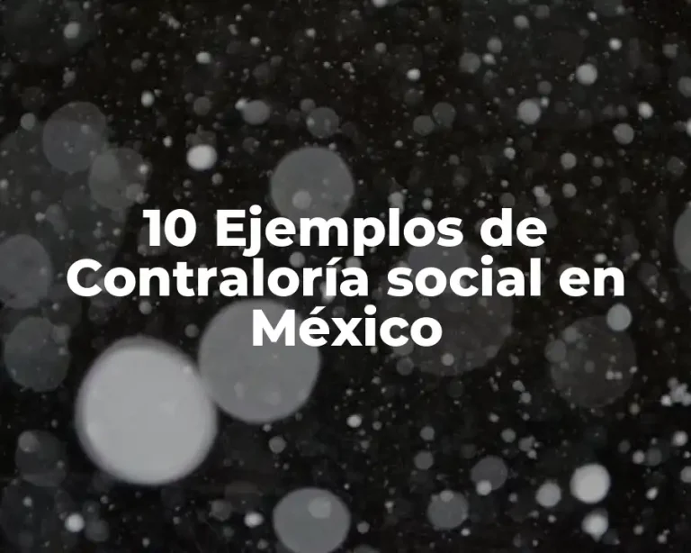 10 Ejemplos de Contraloría social en México