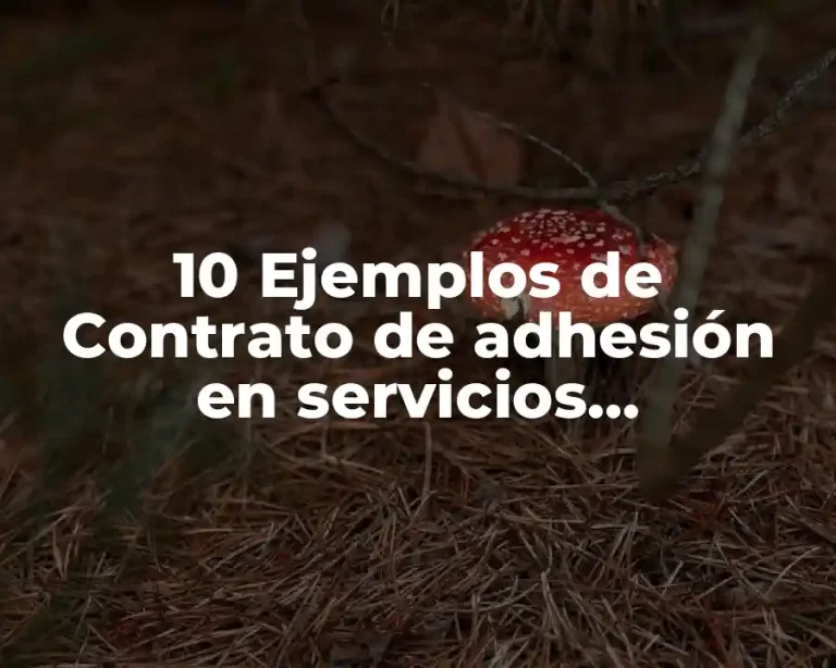 10 Ejemplos de Contrato de adhesión en servicios hospitalarios