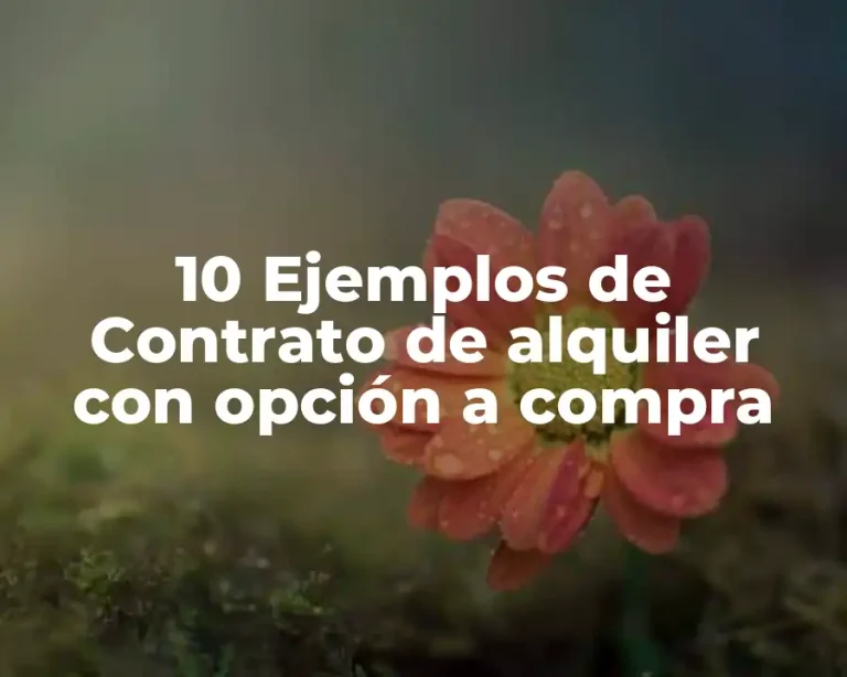10 Ejemplos de Contrato de alquiler con opción a compra