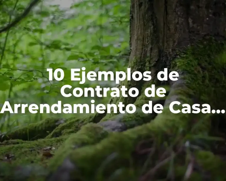 10 Ejemplos de Contrato de Arrendamiento de Casa Simple
