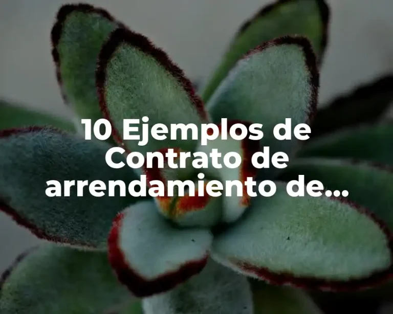 10 Ejemplos de Contrato de arrendamiento de vivienda