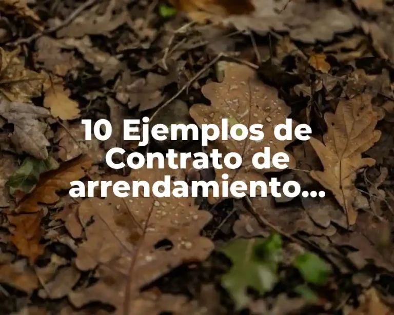 10 Ejemplos de Contrato de arrendamiento financiero lleno