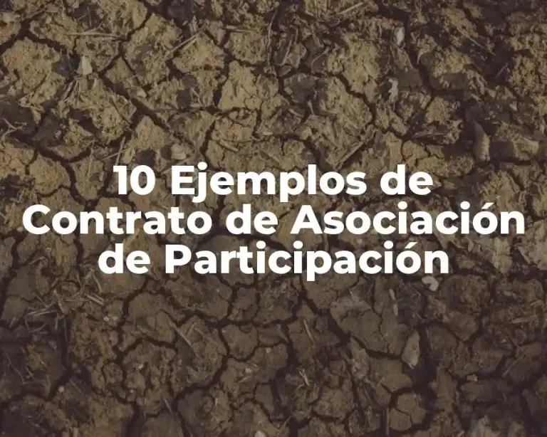 10 Ejemplos de Contrato de Asociación de Participación