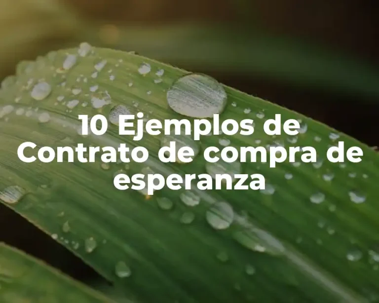 10 Ejemplos de Contrato de compra de esperanza