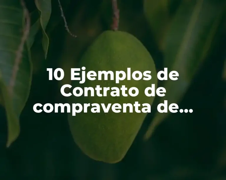 10 Ejemplos de Contrato de compraventa de terrenos llenado