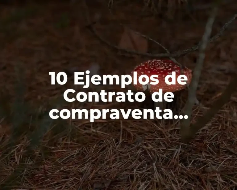 10 Ejemplos de Contrato de compraventa internacional hipotecario