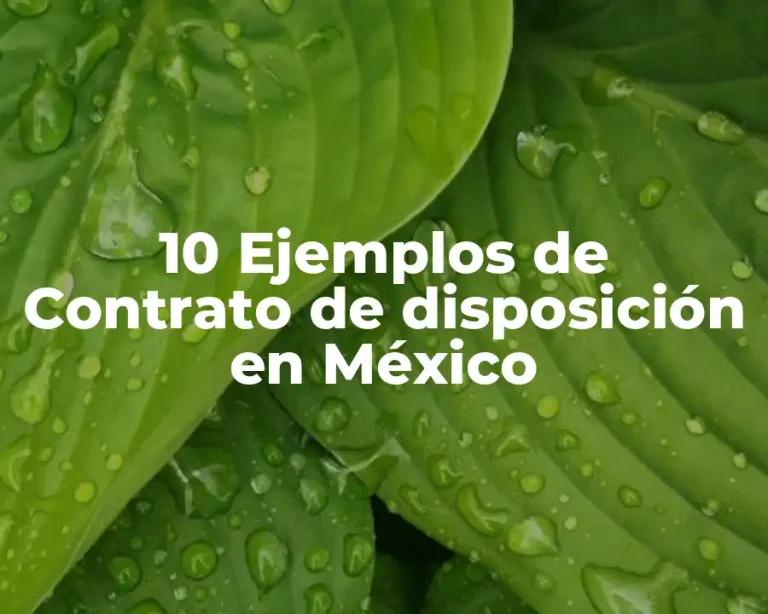10 Ejemplos de Contrato de disposición en México