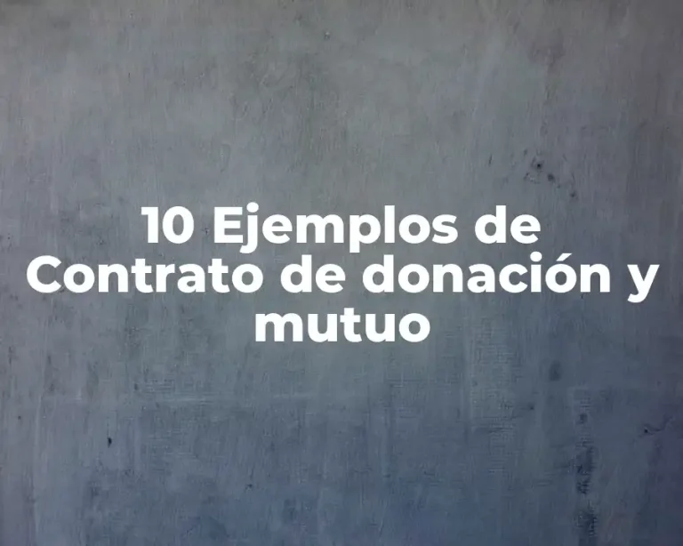 10 Ejemplos de Contrato de donación y mutuo