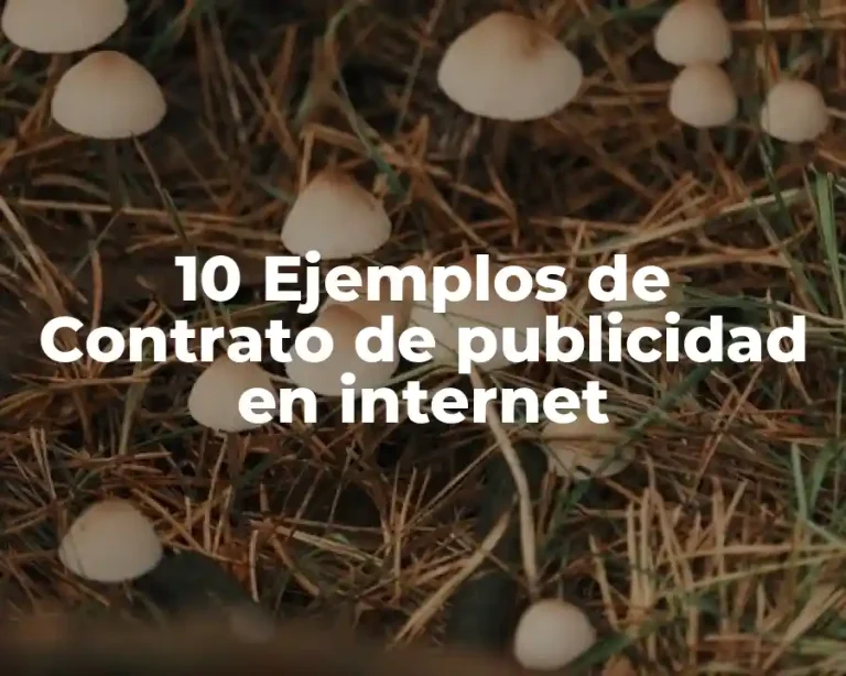 10 Ejemplos de Contrato de publicidad en internet