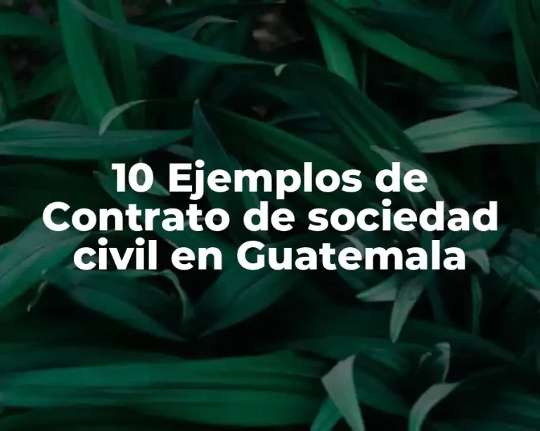 10 Ejemplos de Contrato de sociedad civil en Guatemala