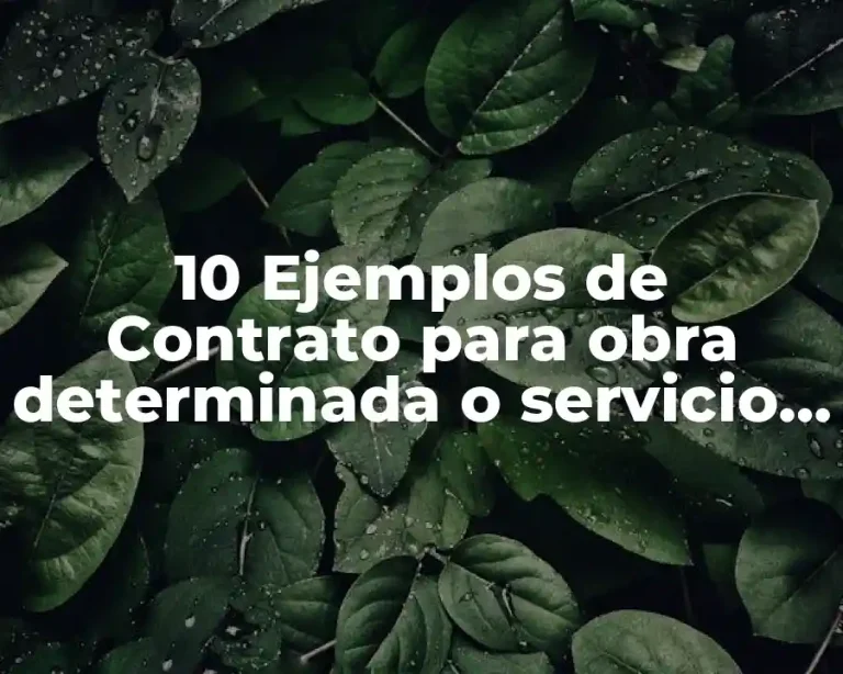 10 Ejemplos de Contrato para obra determinada o servicio específico trabajador