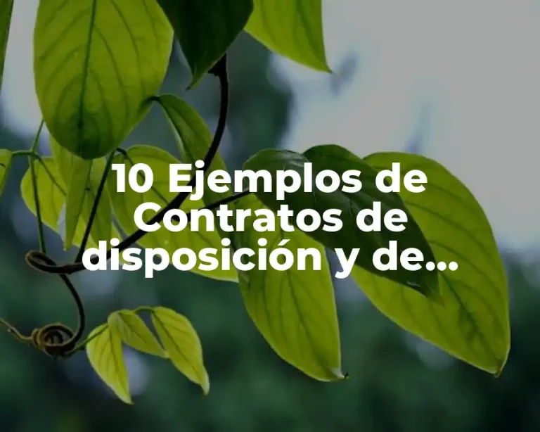 10 Ejemplos de Contratos de disposición y de administración pública