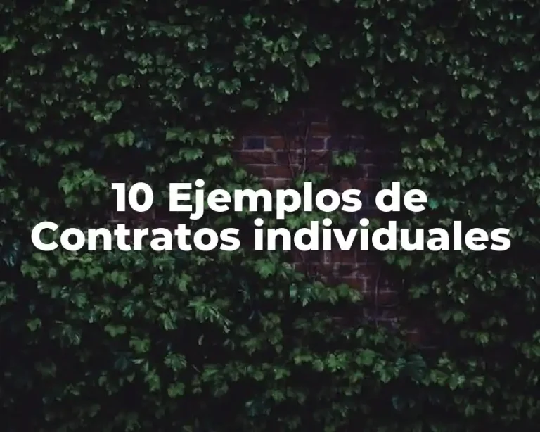 10 Ejemplos de Contratos individuales