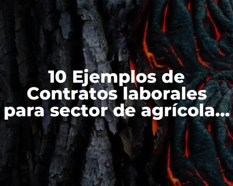 10 Ejemplos de Contratos laborales para sector de agrícola en México
