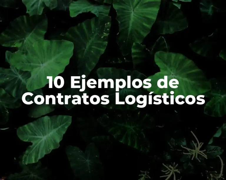 10 Ejemplos de Contratos Logísticos