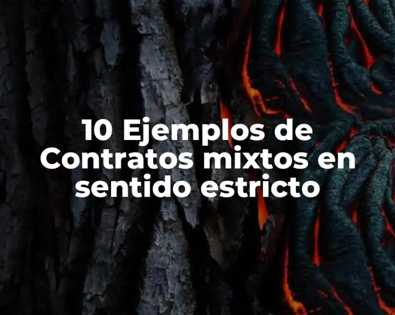 10 Ejemplos de Contratos mixtos en sentido estricto