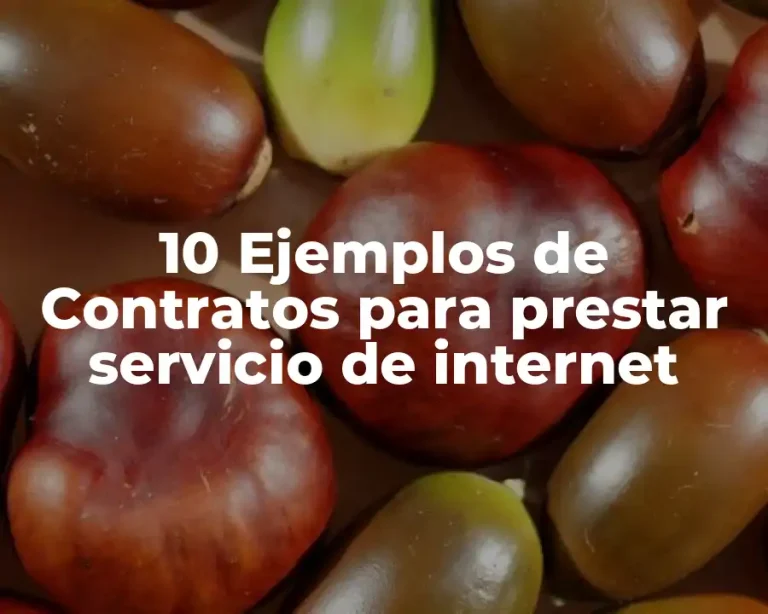 10 Ejemplos de Contratos para prestar servicio de internet
