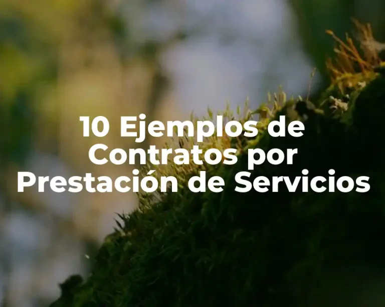 10 Ejemplos de Contratos por Prestación de Servicios
