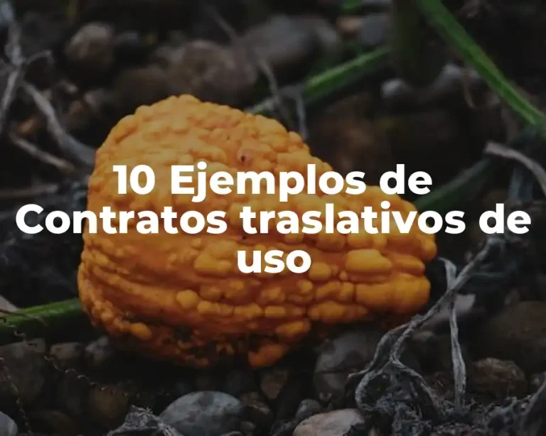 10 Ejemplos de Contratos traslativos de uso