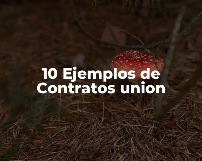 10 Ejemplos de Contratos union