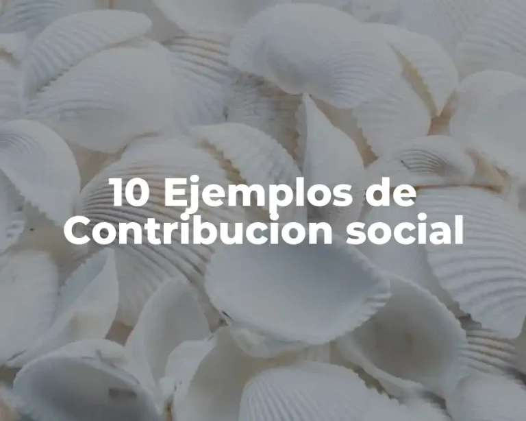 10 Ejemplos de Contribucion social