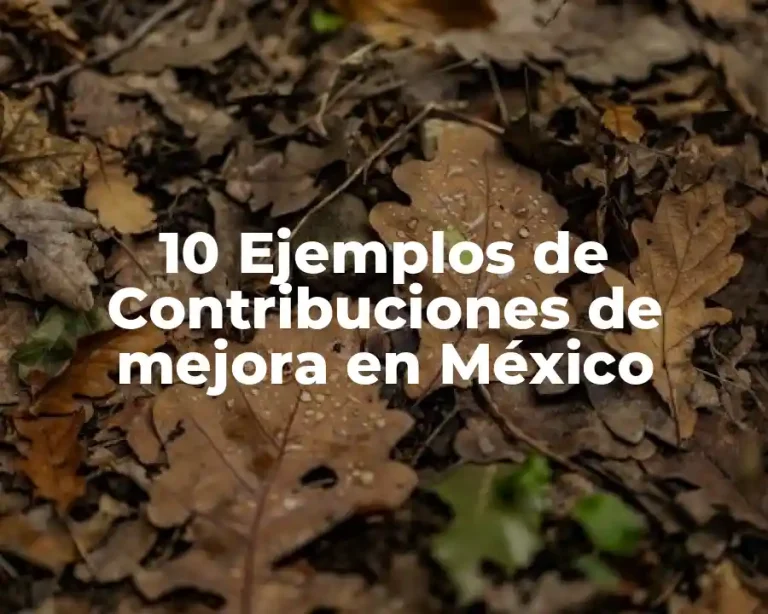10 Ejemplos de Contribuciones de mejora en México