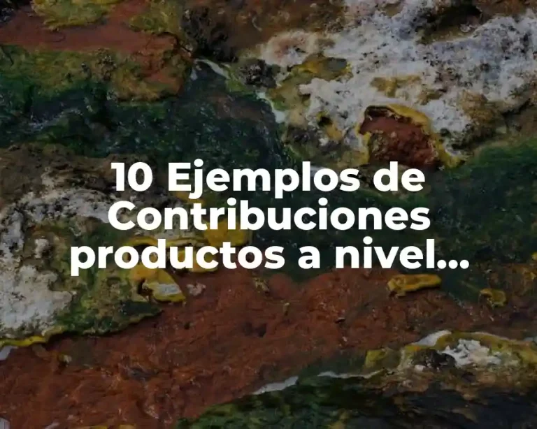 10 Ejemplos de Contribuciones productos a nivel municipal