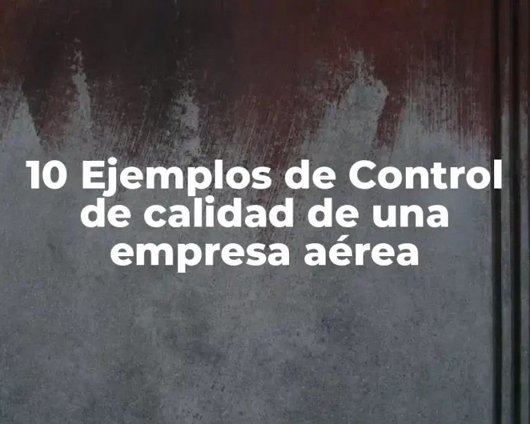 10 Ejemplos de Control de calidad de una empresa aérea