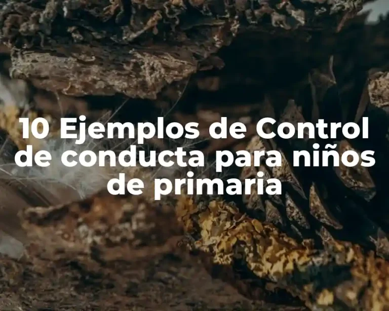 10 Ejemplos de Control de conducta para niños de primaria