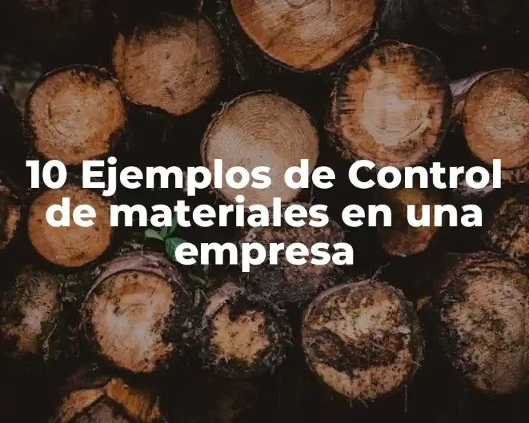 10 Ejemplos de Control de materiales en una empresa