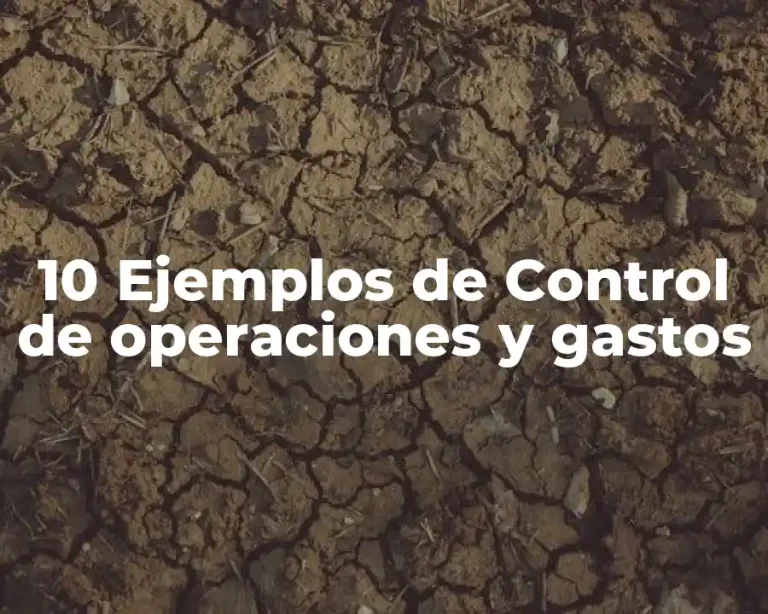 10 Ejemplos de Control de operaciones y gastos