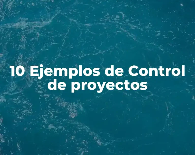10 Ejemplos de Control de proyectos