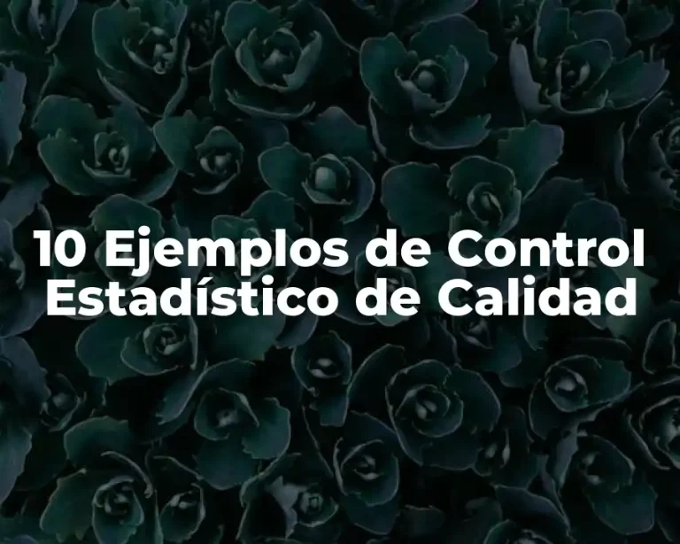 10 Ejemplos de Control Estadístico de Calidad