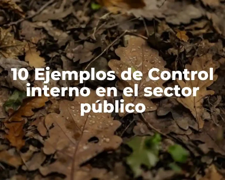 10 Ejemplos de Control interno en el sector público