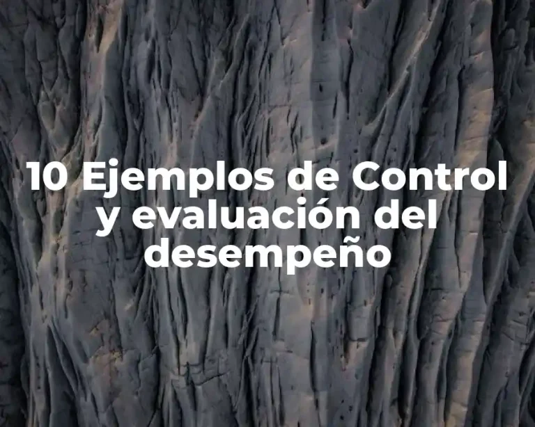 10 Ejemplos de Control y evaluación del desempeño