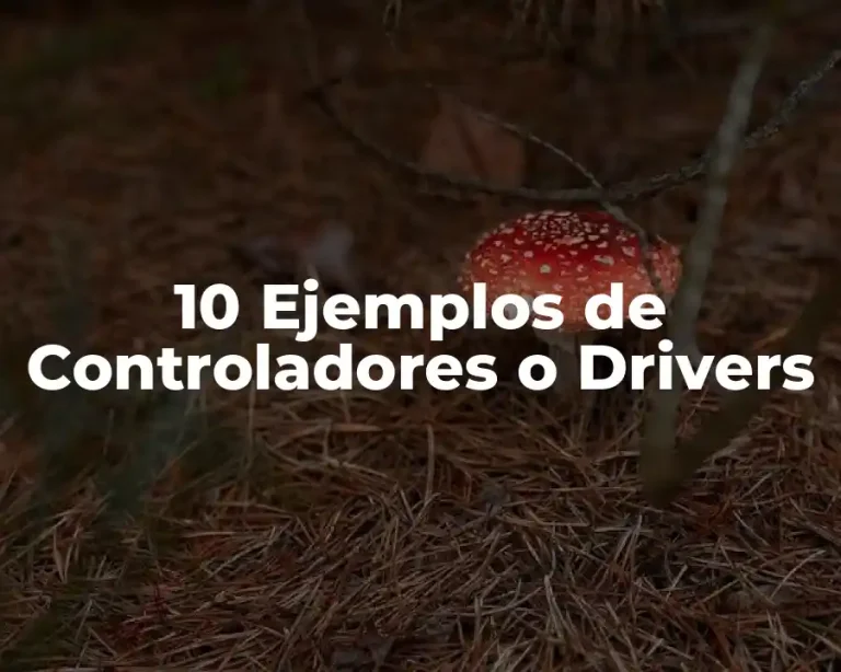 10 Ejemplos de Controladores o Drivers