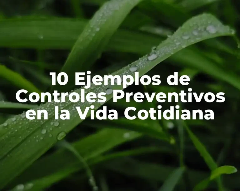 10 Ejemplos de Controles Preventivos en la Vida Cotidiana