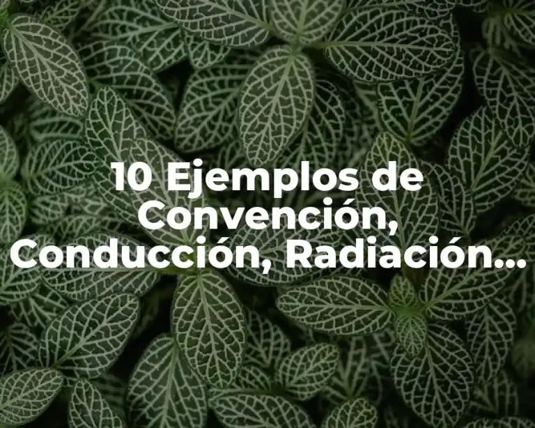 10 Ejemplos de Convención, Conducción, Radiación y Dilatación