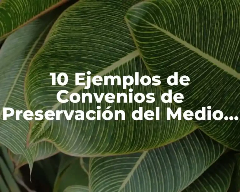 10 Ejemplos de Convenios de Preservación del Medio Ambiente