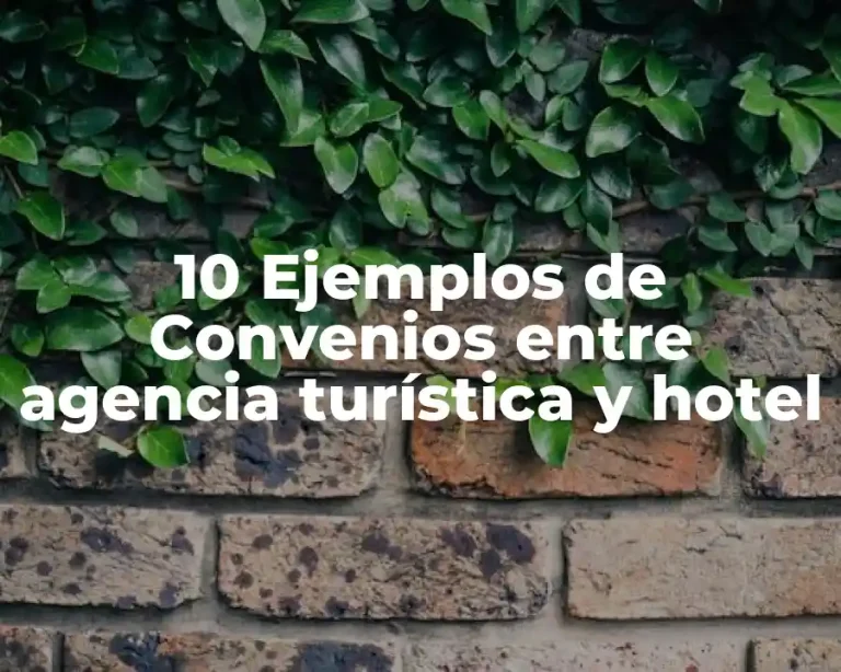 10 Ejemplos de Convenios entre agencia turística y hotel